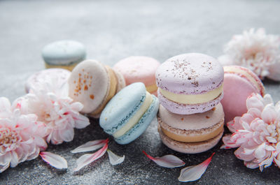 Beautiful colorful tasty macaroons and white flowers on a concrete background