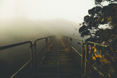 Staircase amidst trees against sky during foggy weather