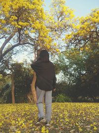 Rear view of woman standing against flowering trees at park