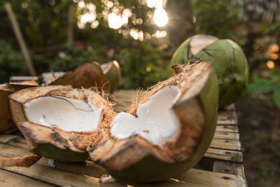 Close-up of coconuts on wood