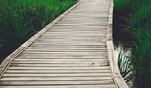 The wooden walkway lined up with grass and rice and water alongside.