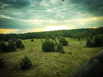 Scenic view of field against sky during sunset