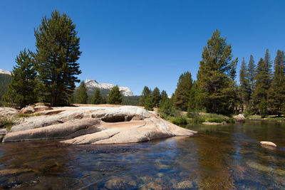 Scenic view of rocks by trees against clear blue sky