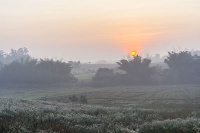 Scenic view of field against sky during sunset