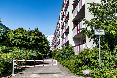 Road amidst plants and trees against sky in city