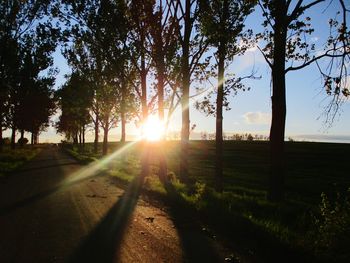 Sunlight streaming through trees on field against sky at sunset