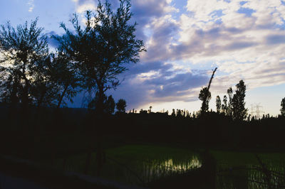 Silhouette trees by lake against sky during sunset