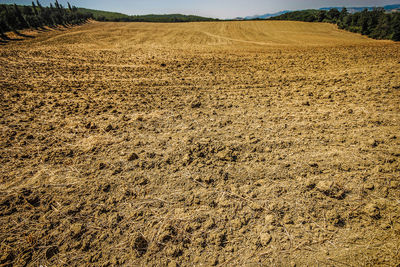 View of agricultural landscape