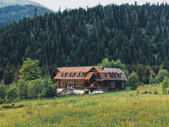 Wooden house in the forrest