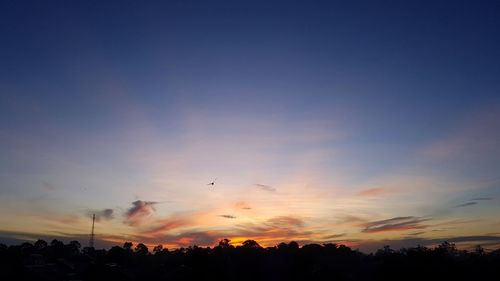 Low angle view of silhouette trees against sky during sunset