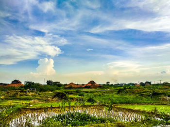 Scenic view of field against sky