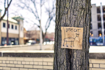 Close-up of text on tree trunk