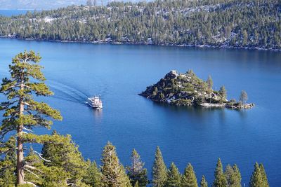 High angle view of trees by lake