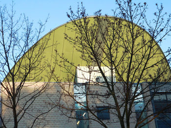 Low angle view of bare tree against clear sky