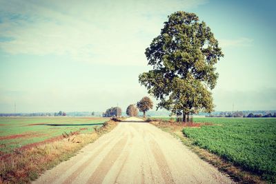Dirt road amidst field against sky