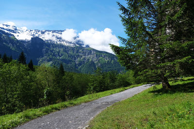 Road amidst trees against sky