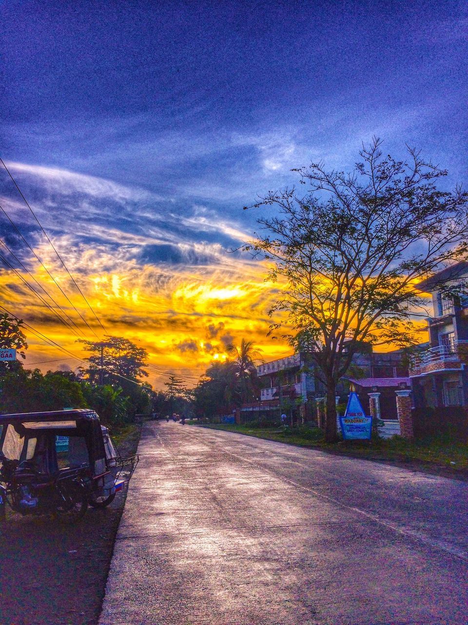 sky, tree, building exterior, yellow, built structure, house, architecture, sunset, beauty in nature, nature, blue, the way forward, cloud - sky, growth, field, tranquility, tranquil scene, outdoors, no people, scenics