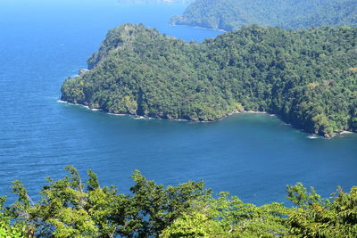 High angle view of sea and trees against sky