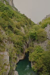 Scenic view of stream amidst rocks and trees against sky