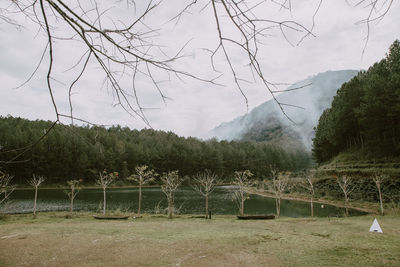 Scenic view of landscape against sky