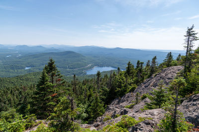 Scenic view of forest and mountains against sky