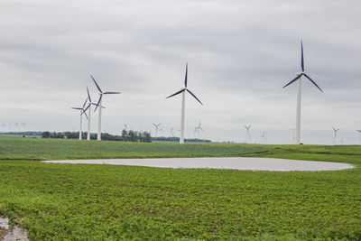 Flooded farm field with wind turbines.