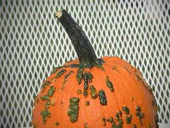 Close-up of orange pumpkin