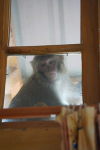 Portrait of young woman seen through glass window