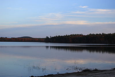 Reflection of trees in lake