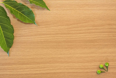 High angle view of leaves on table