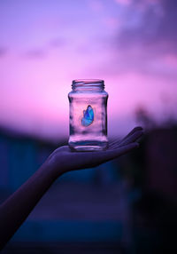 Butterfly trapped in a glass jar against  sunset