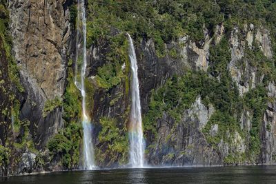 Scenic view of waterfall in forest