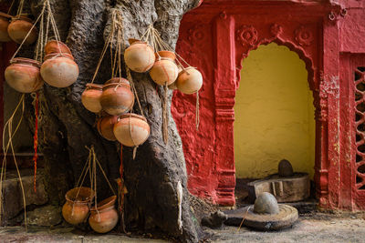 Earthenware hanging from tree trunk