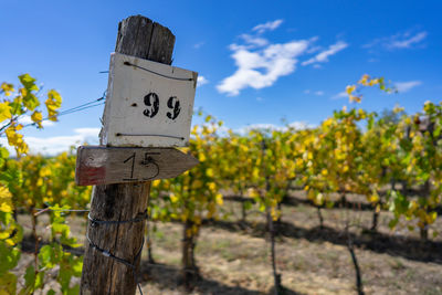 Information sign on wooden post in field against sky