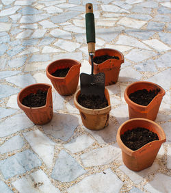 High angle view of potted plant on footpath