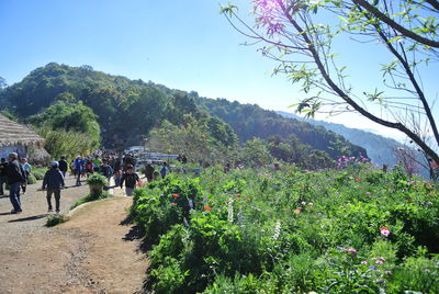 Scenic view of green landscape and mountains against sky