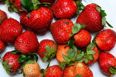 Close-up of strawberries