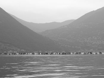 Floating piers