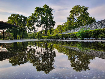 Reflection of trees in lake against sky