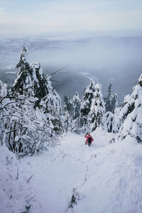 People on snow covered mountain clouds white sky pine trees slope downhill