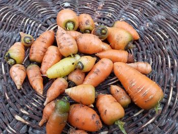 High angle view of vegetables in basket