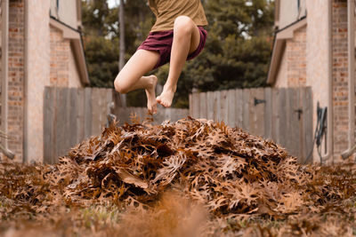 Low section of woman standing by plants against building