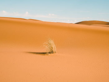 Sand dune in desert against sky