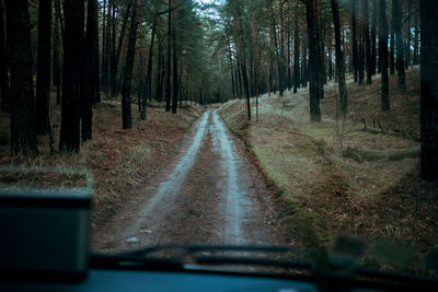 Road amidst trees in forest