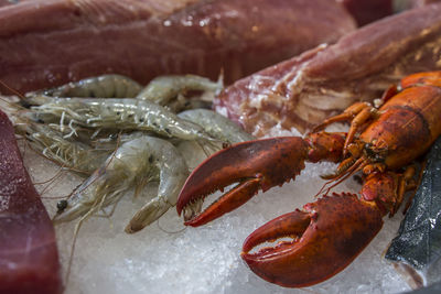 High angle view of fish for sale