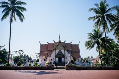 Palm trees and buildings against sky