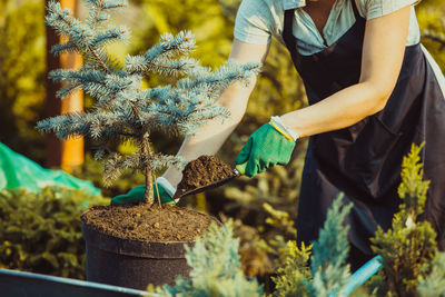 Midsection of man working on potted plant