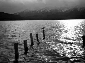 Wooden posts in lake against mountains