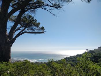 Scenic view of sea against clear sky