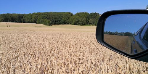 View of field seen through car windshield